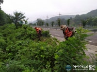의령군 대의면, 휴가철 대의면 진입도로변 환경정비