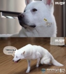 동물농장 사과, 장애견에 어이없는 자막