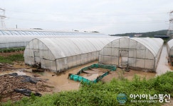 용인시 처인구 원삼면 우렁이농장 하우스 물에 잠겨