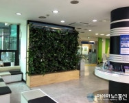 양평군, 군청1층에 민원바로센터에 수직정원 설치