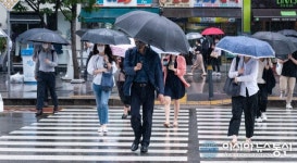[아통 포토] 비오는 여의도 출근길 횡단보도를 걷는 직장인들