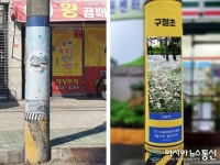 밀양시 가곡동, 도로변 전주 갤러리 거리 조성