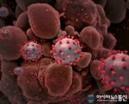 전북 익산서 코로나19 확진자 서울 광진구 35번 접촉자 발생