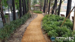 연수구, 연수중청량중에 학교 명상숲 조성 시설 이관
