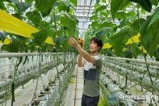 예천군 박정호 농촌지도사, 경북 최연소 시설원예기술사 취득