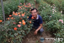 현대장미원, 한국 토양·환경에 적합한 최고품질의 장미를 생산·보급한다