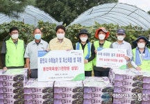 용인시  NH농협 직원들 백암서 포도수확 돕기·기탁