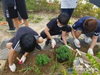 합천 묘산초등학교 가을국화 꽃 심기 행사 열어