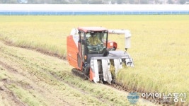 [아통포토] 충남 천안시, 올 첫 벼베기…수확의 기쁨 누렸다