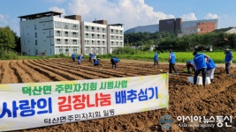 [포토] 충남 예산 덕산면, 사랑의 김장 나눔 배추심기