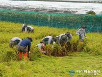 장병 여러분 고맙습니다...육군 7516부대 청도서 대민지원 나서