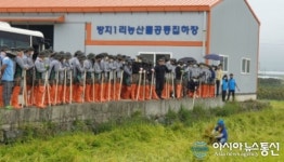 쓰러진 벼 이렇게 묶어주세요...청도군 방지1리 이승민 이장 대민지원 나온 장병에 설명