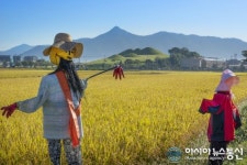 [경남 고성] 소가야 얼, 송학에 물들다, 제43회 소가야문화제 개최