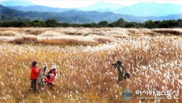비내섬을 보호하자!…충주시, 자연휴식지 지정·고시