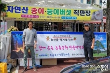 보은 속리산 송이·능이 23일부터 판매 개시…1주일 이상 늦어져