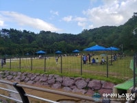 창원 펫-빌리지놀이터 추석연휴 개장