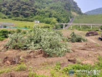충주시 과수화상병 의심 증상, 바로 신고하세요!