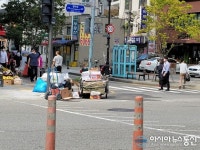 청파로, 불법쓰레기 단속 없이 도로에 놓여져 있어