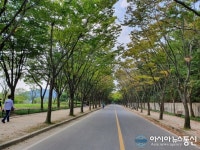 정돈된 인천대공원 가로수길은 아직도 고요해