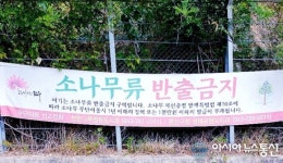 전주시 완산구청, 소나무류 반출금지