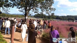 추석연휴 철저한 방역속 관광객들 경북 찾았다!