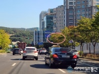 수원시 가로수로 인해 안전 표지판이 없어졌다