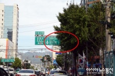 서울 강북구 길찾기 진짜 어려워요