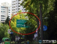 노원구 교통표지판 가로수로  무용지물