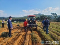 트랙터부착용 고구마 수확기 개발보급 시연