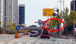 오산시, 진짜 가로수 정비 안하나?