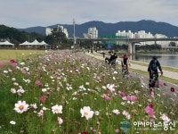 삼패한강시민공원, 시민들 꽃길 걸으며 가을 바람 만끽