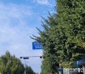 세종시, 군청로 도로표지판 나무에 가려져 있어 시민들 보이지 않아 불편해요