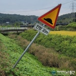 세종시 연기군 서면, 쓰러져 있는 과속방지턱 표지판 운전자들 치우는게 좋을 것 같은데...