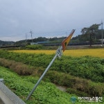 세종시 연기군 서면, 쓰러진 표지판 운전자들 외곽이라 관심을 안 가지니 저런 거죠
