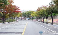 안성시 접근, 가파른 언덕으로 쉽지않다