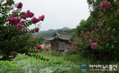 경주 동남산가는길, 서출지