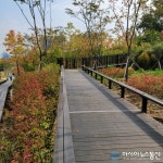 가을 산책 코스로 좋은 곳,  단풍 보기 좋은 곳 그 곳은 바로 서리풀공원