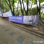 이마트 역삼점, 불법현수막 시민들 나무만 아파 한다