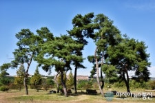 상주 경천섬으로 떠나는 힐링 여행