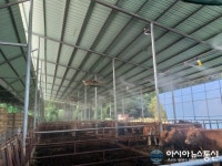 1석3조 한우 축사 초미세 에어포그