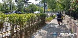 충북도 학교주변 그린숲 25곳 조성…교통안전 대기오염 개선 기대