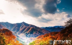 [전북 날씨] 구름끼고 쌀쌀, 낮최고 기온 21도...어제보다 큰 일교차