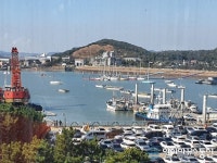 전곡항수산물센터 인근 풍경 너무 좋다