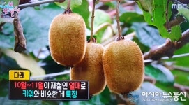 금왕휴게소·찹쌀꽈배기·으름·다래, 엄지척