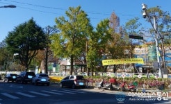 초등학교 앞 도로 차량과 오토바이 주정차 여전