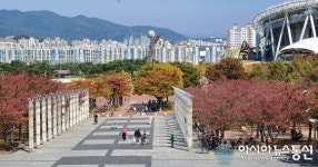 대구스타디움서 가을 정취 만끽하는 시민들