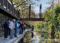 진해구 여좌동 도시재생주민협의회, ‘여좌천 개울길’ 등 추억의 장소 탐방