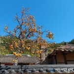 고향 향수 떠 올릴 수 있는 풍경