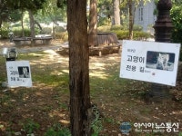 충북문화관에 가면 고양이 전용길이 있다?