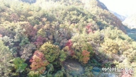 단풍구경 강원도 정선으로 여행을